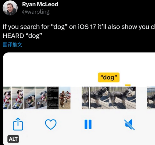 都江堰apple维修店分享通过关键字搜索iPhone视频内声音 